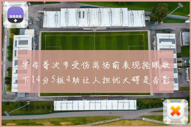 字母哥次节受伤离场前表现抢眼砍下14分5板4助让人担忧大碍是否影响后续比赛